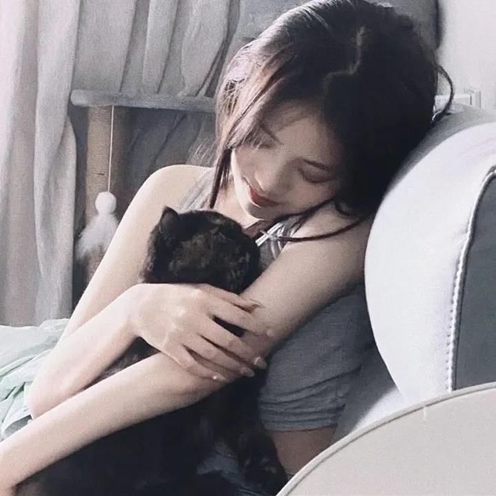 大卫林区：绿野谜踪